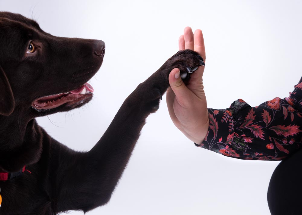 High Five mit Maja